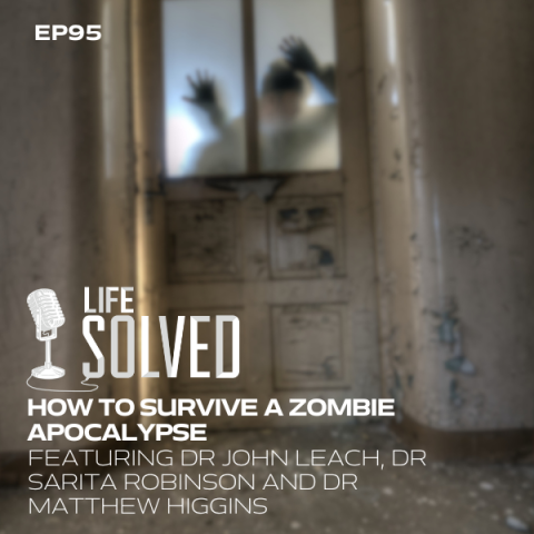 Life Solved logo