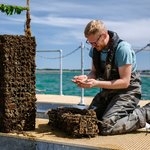 male student observing marine life sample on pontoon
