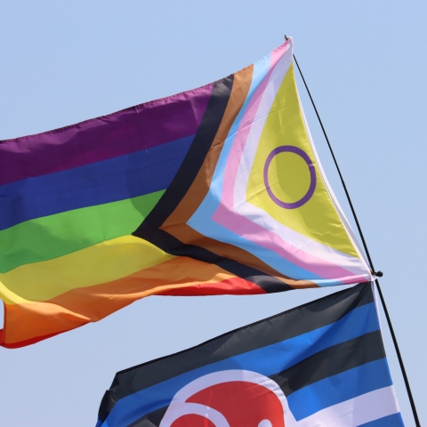 FOR UOP USE ONLY
Portsmouth Pride Event