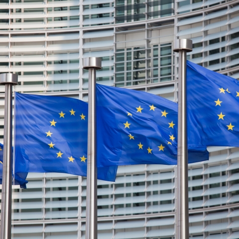 row of european flags