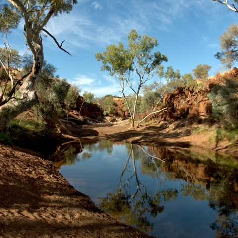 Weeli Wolli Creek, a billabong in Western Australia