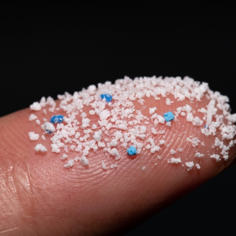 photo of microplastics on a finger