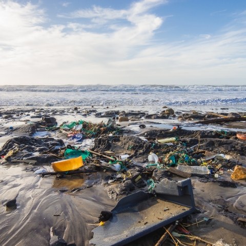 plastic pollution on a beach