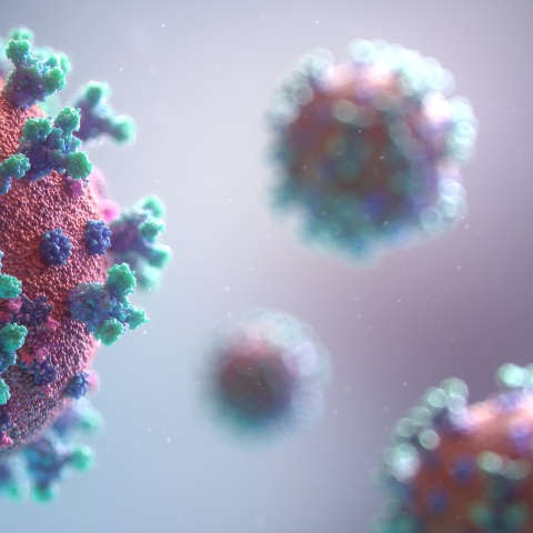 Covid-19 - Photo by Fusion Medical Animation on Unsplash