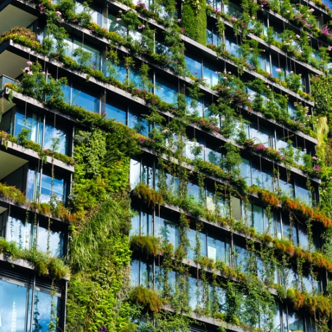 Skyscraper with plants growing up the facade, Sydney
