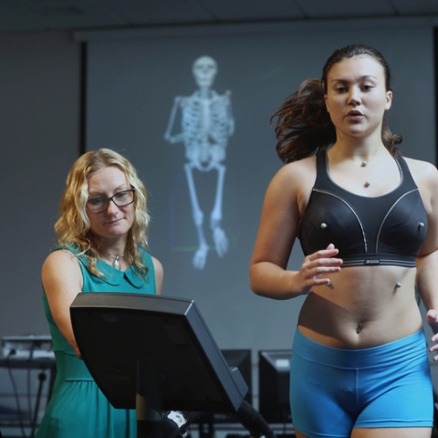 Breast health mechanics research