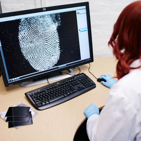 Female forensics working studying fingerprint on computer