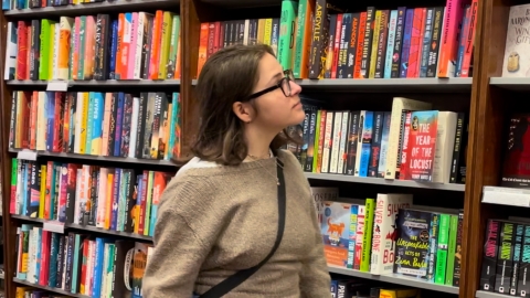 Lucille is looking for a book on a shelf