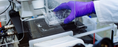 16th & 17th January 2019
Centre for Enzyme Innovation Bid