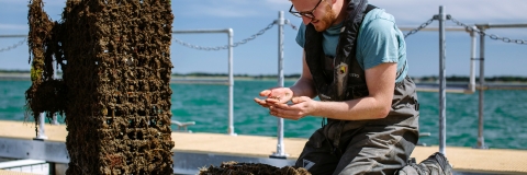 male student observing marine life sample on pontoon