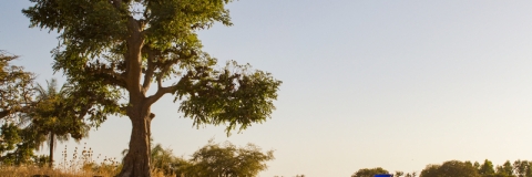 Children walking in arid African landscape