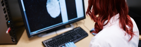 Female forensics worker checking fingerprint on computer screen