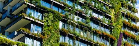 Skyscraper with plants growing up the facade, Sydney
