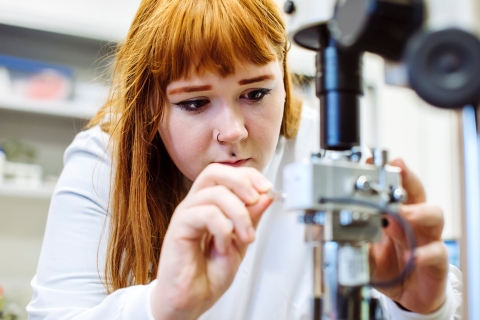 16th & 17th January 2019
Centre for Enzyme Innovation Bid