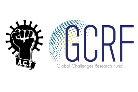 Global Challenges Research Fund logo