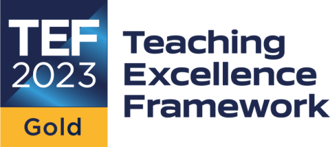 TEF Gold Teaching Excellence Framework // For digital  use
